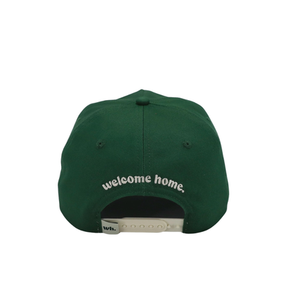 weed & wifi hat - green